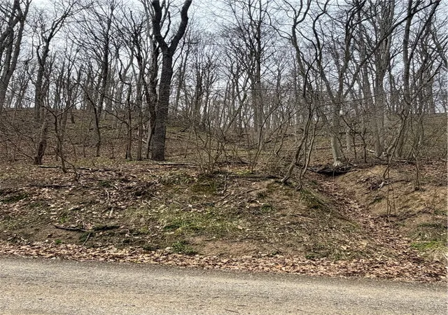 Homes for sale in Bethel Twp, PA | 0 Coal Bank Hollow Rd, Bethel Twp, PA 16226 | MLS# 1748446