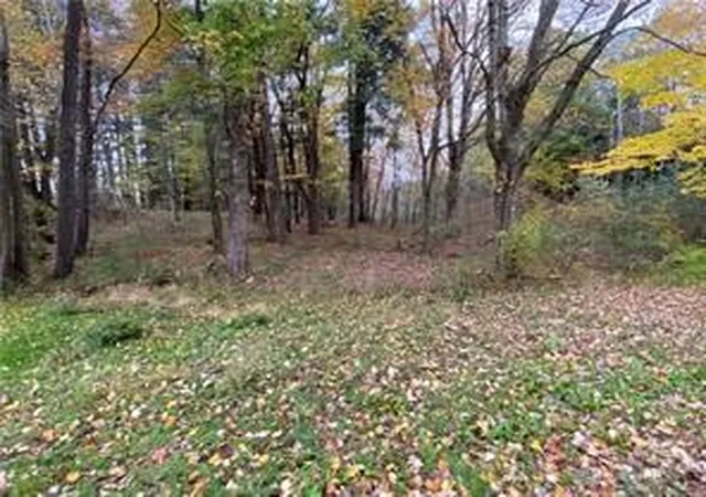 1st image of 0 Country Club Road, Pine Twp, PA 16127 | MLS# 1749091