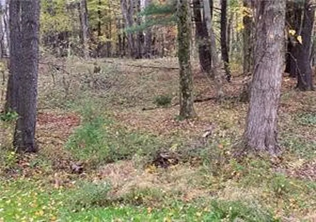 2nd image of 0 Country Club Road, Pine Twp, PA 16127 | MLS# 1749091