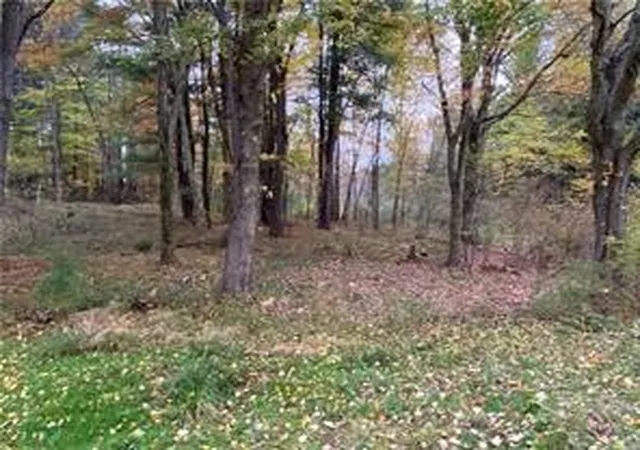 3rd image of 0 Country Club Road, Pine Twp, PA 16127 | MLS# 1749091