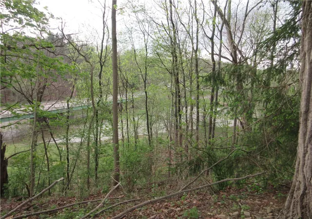 18th image of 227 Wurtemburg Rd, Ellwood City, PA 16117 | MLS# 1749112