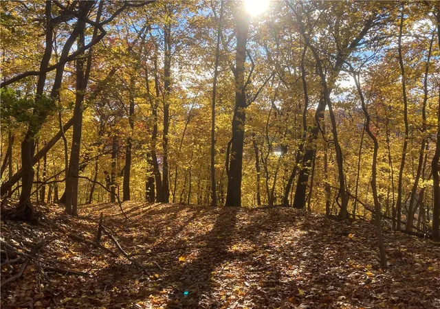 Photo 4 of Land for sale at 0 Beaver Rd, Sewickley, PA 15143 | MLS# 1749240 | Listing updated on 2026-08-03