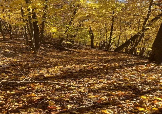 Photo 5 of Land for sale at 0 Beaver Rd, Sewickley, PA 15143 | MLS# 1749240 | Listing updated on 2026-08-03