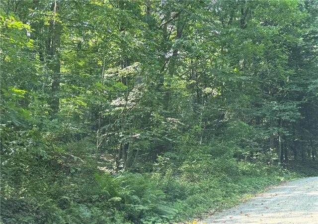 Photo 3 of Land for sale at 389 W Bellport Rd, Brookville Area School District, PA 15825 | MLS# 1749907 | Listing updated on 2026-05-11