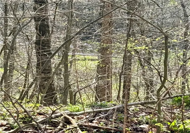 1st image of 0 Main St, Volant Boro, PA 16156 | MLS# 1750293