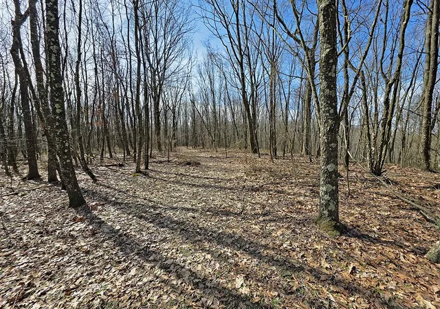 Homes for sale in S Mahoning/plumville, PA | 0 S Harrison Avenue, S Mahoning/plumville, PA 16246 | MLS# 1751048