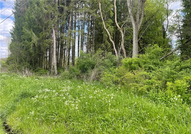 2nd image of 0 Mercer Road, Greenville, PA 16125 | MLS# 1752599
