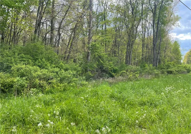 3rd image of 0 Mercer Road, Greenville, PA 16125 | MLS# 1752599