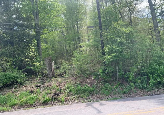 Homes for sale in Shade Twp, PA | 91 Lambert St, Shade Twp, PA 15926 | MLS# 1753124