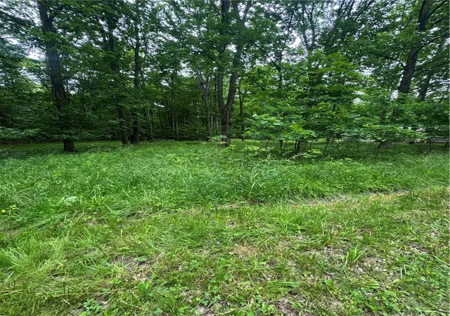 Homes for sale in Conneaut Twp, PA | 0 Trails End Rd, Conneaut Twp, PA 16424 | MLS# 1753220