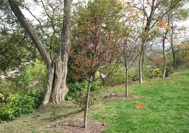 Homes for sale in Squirrel Hill, PA | 2643 Fernwald Road, Squirrel Hill, PA 15217 | MLS# 1754343