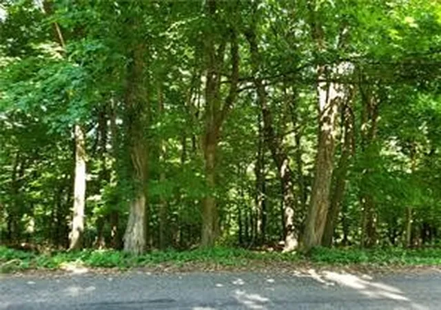 1st image of 0 Shannon Road & Lynnbrook Dr, Penn Hills, PA 15147 | MLS# 1755716