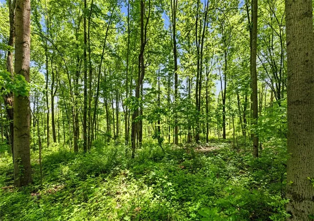 Photo 3 of Land for sale at 829 871 Perry Hwy, Harmony, PA 16037 | MLS# 1757468 | Listing updated on 2026-06-03