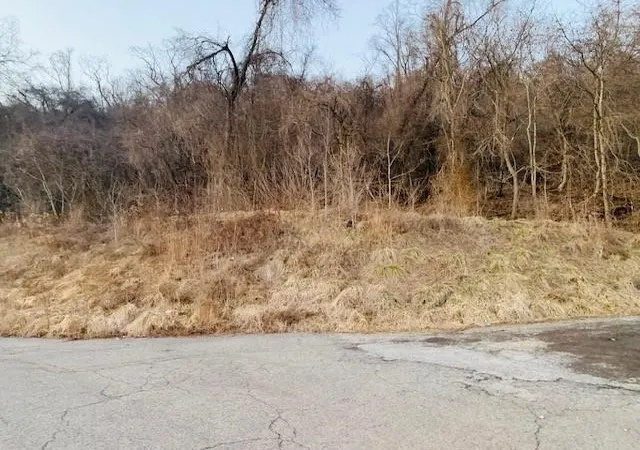1st image of 000 Virginia Ave, Midland Boro, PA 15059 | MLS# 1758420
