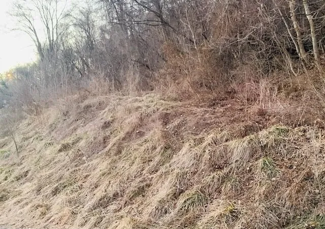 2nd image of 000 Virginia Ave, Midland Boro, PA 15059 | MLS# 1758420