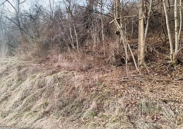 3rd image of 000 Virginia Ave, Midland Boro, PA 15059 | MLS# 1758420