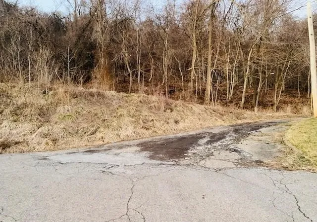 4th image of 000 Virginia Ave, Midland Boro, PA 15059 | MLS# 1758420