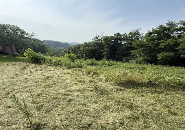 17th image of Lots 206 And 208 Old Woods Dr, Peters Twp, PA 15317 | MLS# 1758864