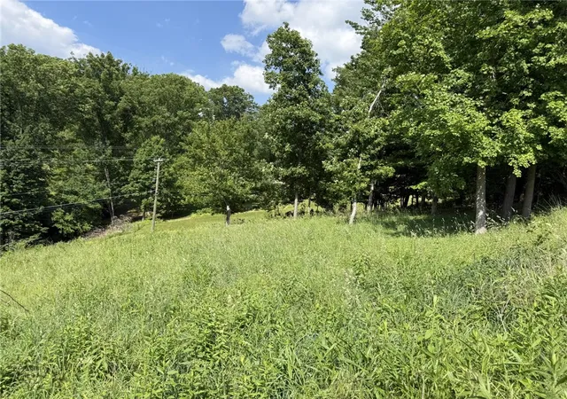 2nd image of Lots 206 And 208 Old Woods Dr, Peters Twp, PA 15317 | MLS# 1758864