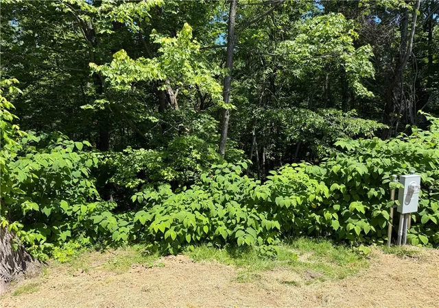 34th image of 151 Terra Dr, Valencia, PA 16059 | MLS# 1758984