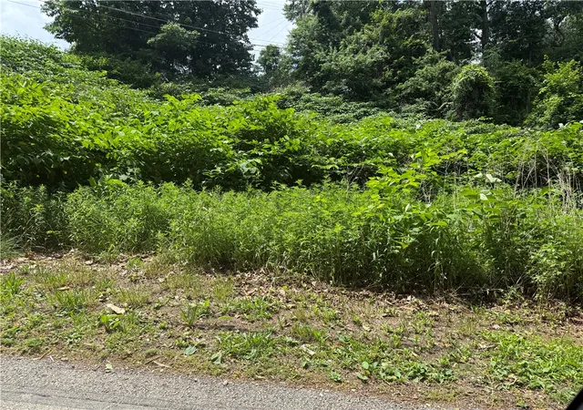 Homes for sale in West Homestead, PA | Lot #3 Laurel Hill Dr, West Homestead, PA 15120 | MLS# 1759295