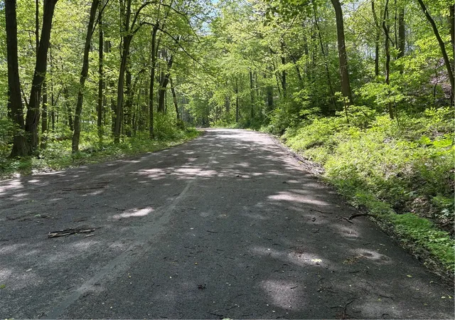 Homes for sale in Bullskin Twp, PA | Lot 1c Cottonwood Rd, Bullskin Twp, PA 15610 | MLS# 1759646