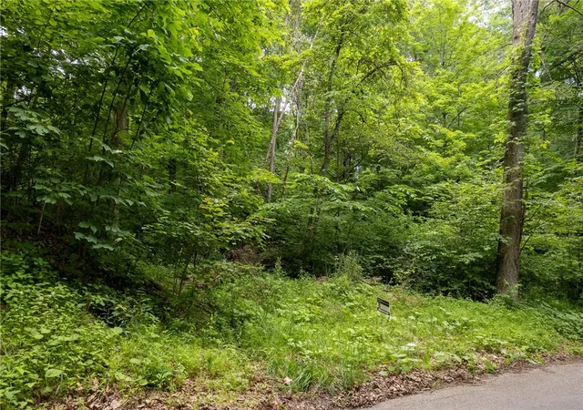 Homes for sale in South Beaver Twp, PA | 000 Dehaven Rd, South Beaver Twp, PA 15010 | MLS# 1759961