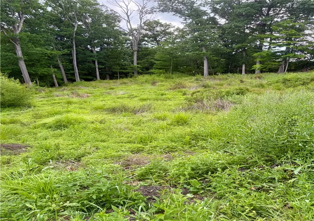 2nd image of 0 Coral/johnston, Upper St Clair, PA 15241 | MLS# 1760742
