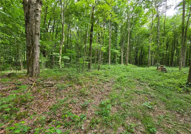 1st image of 0 Fox Mine Rd, Jackson Center Boro, PA 16133 | MLS# 1760852