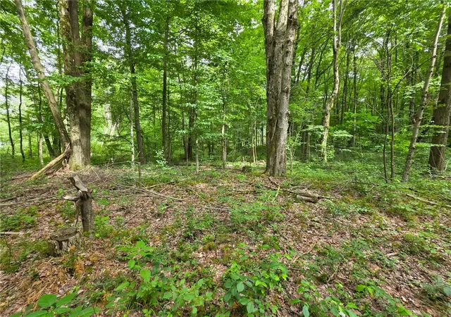 2nd image of 0 Fox Mine Rd, Jackson Center Boro, PA 16133 | MLS# 1760852