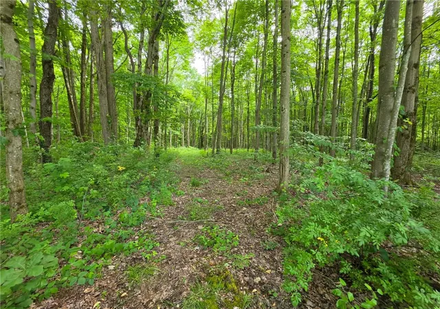 3rd image of 0 Fox Mine Rd, Jackson Center Boro, PA 16133 | MLS# 1760852