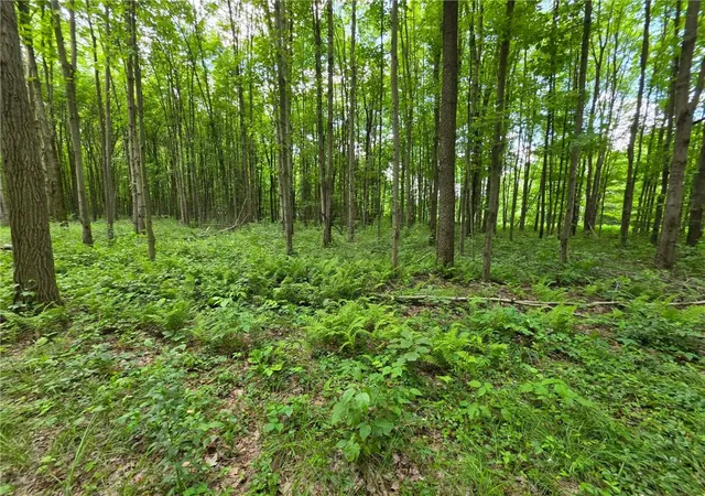 4th image of 0 Fox Mine Rd, Jackson Center Boro, PA 16133 | MLS# 1760852