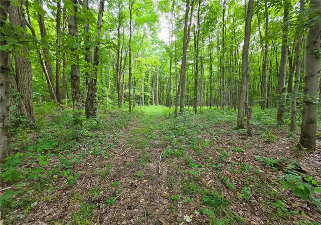 5th image of 0 Fox Mine Rd, Jackson Center Boro, PA 16133 | MLS# 1760852
