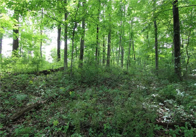 Homes for sale in Shenango Twp, PA | 0 Campground Rd, Shenango Twp, PA 16159 | MLS# 1761020