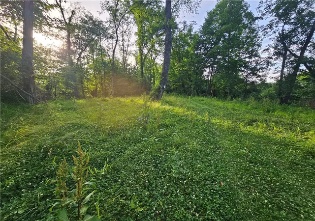 1st image of 0 Fallen Timber Rd, Independence, PA 15312 | MLS# 1761040