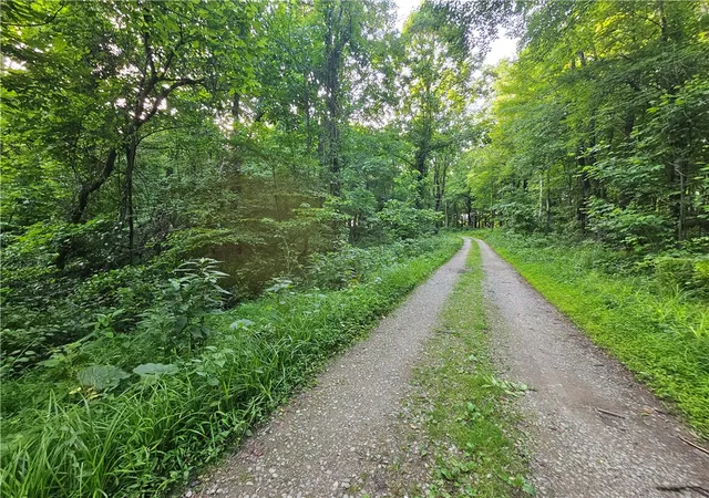 3rd image of 0 Fallen Timber Rd, Independence, PA 15312 | MLS# 1761040