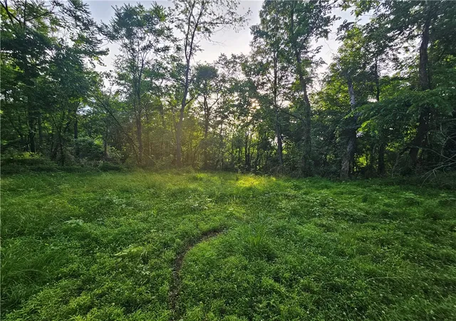 4th image of 0 Fallen Timber Rd, Independence, PA 15312 | MLS# 1761040