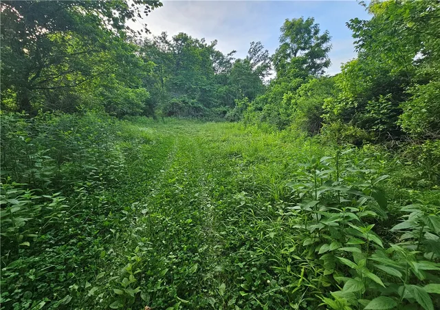 5th image of 0 Fallen Timber Rd, Independence, PA 15312 | MLS# 1761040