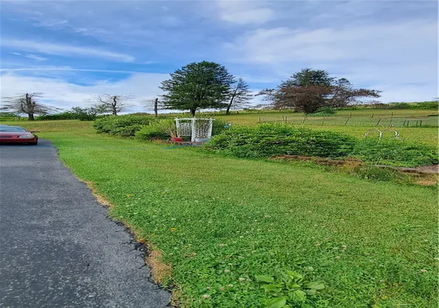 28th image of 830 Bells Mills Cloe Rd, Punxsutawney Area School District, PA 15767 | MLS# 1761280