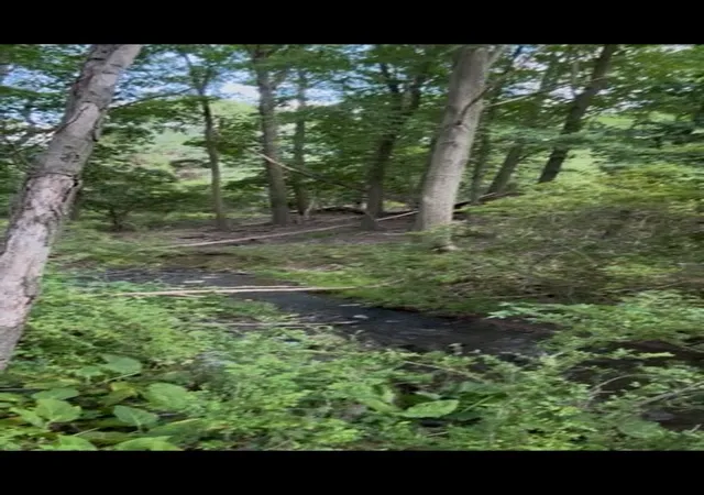 Homes for sale in Pine Twp, PA | 0 Wexford Rd, Pine Twp, PA 15090 | MLS# 1761269