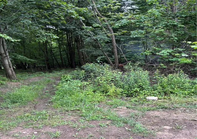 Photo 3 of Land for sale at 2994 County Line Rd, Cochranton, PA 16314 | MLS# 1761742 | Listing updated on 2026-06-25