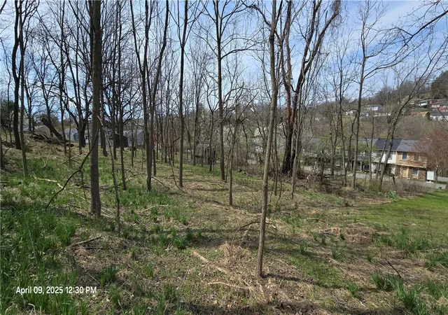 4th image of 0 Shadowlawn Dr, Pittsburgh, PA 15236 | MLS# 1761965