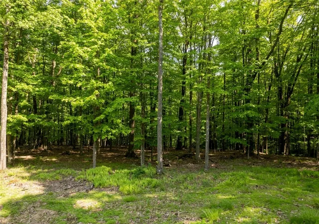Homes for sale in Dubois Area School District, PA | 13a 210 Crooked Island Rd, Dubois Area School District, PA 15801 | MLS# 1761848