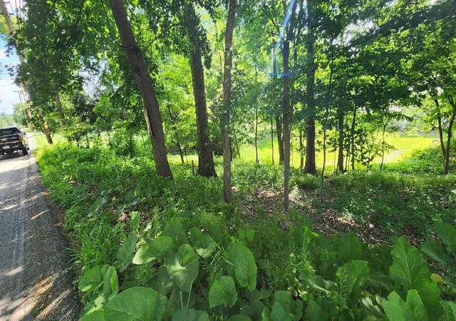 Photo 3 of Land for sale at 0 S Park Rd, Bethel Park, PA 15102 | MLS# 1762659 | Listing updated on 2026-06-30