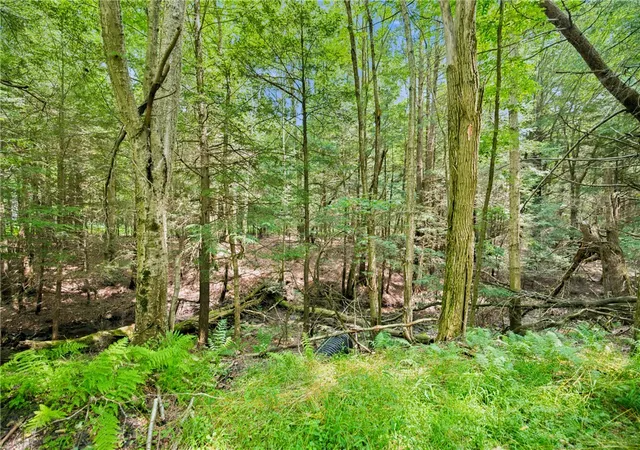 Homes for sale in Indian Lake Boro, PA | Lot A9 E Airpark Dr, Indian Lake Boro, PA 15926 | MLS# 1762424
