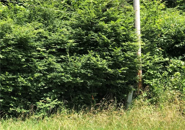 2nd image of 224 225 Old Mill Road, Ohiopyle, PA 15470 | MLS# 1762848