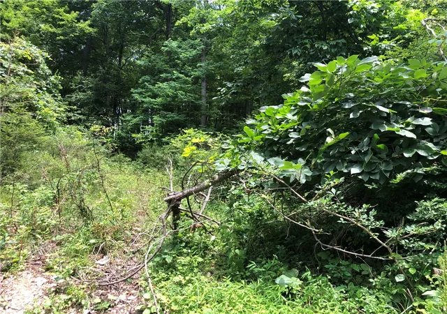 Photo 4 of Land for sale at 224-225 Old Ml Rd, Chalk Hill, PA 15421 | MLS# 1762848 | Listing updated on 2026-07-17