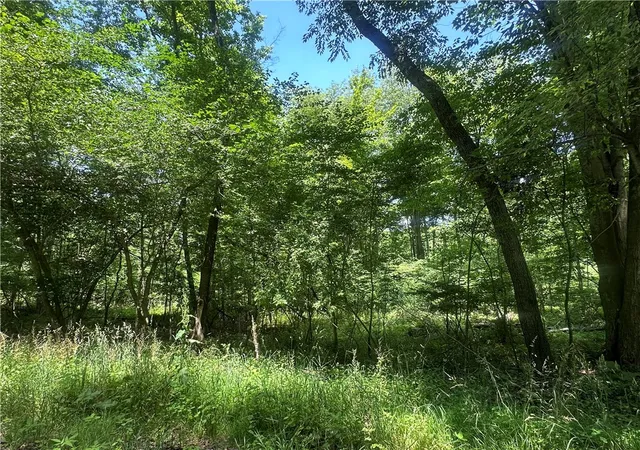 Photo 3 of Sale Pending at 0 Cooperstown Rd, Oakland Twp, PA 16323 | MLS# 1763051 | Listing updated on 2026-08-02