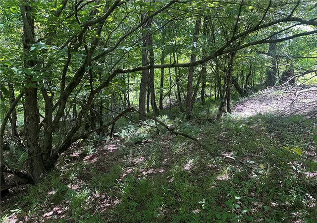 Photo 4 of Sale Pending at 0 Cooperstown Rd, Oakland Twp, PA 16323 | MLS# 1763051 | Listing updated on 2026-08-02