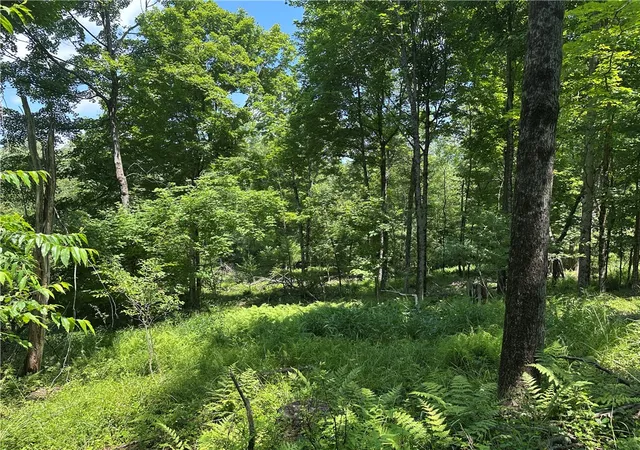 Photo 5 of Sale Pending at 0 Cooperstown Rd, Oakland Twp, PA 16323 | MLS# 1763051 | Listing updated on 2026-08-02